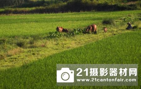 风光摄影好伴侣 思锐滤镜系统试用